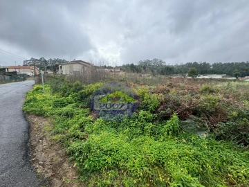 Terreno para Venda em Nogueira da Regedoura