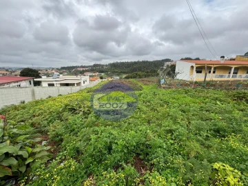 Terreno para Venda em Nogueira da Regedoura