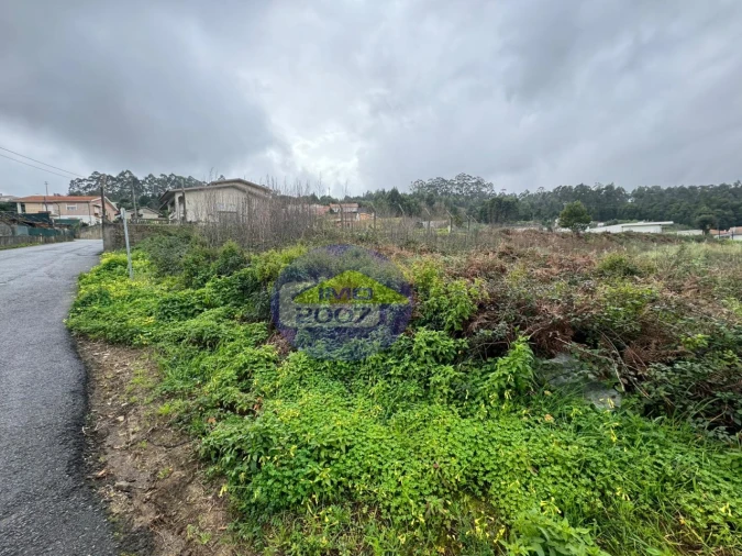 Terreno para Venda em Nogueira da Regedoura Foto 6