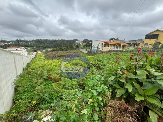Terreno para Venda em Nogueira da Regedoura Foto 16