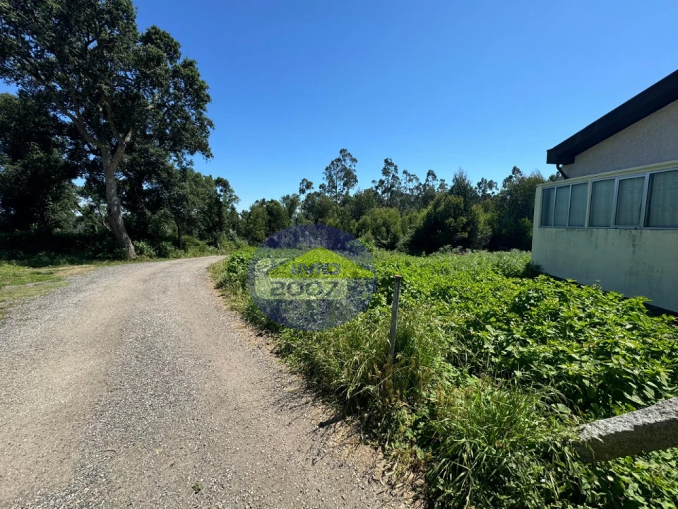 Terreno Agricola ou Rústico para Venda em Nogueira da Regedoura Foto 5