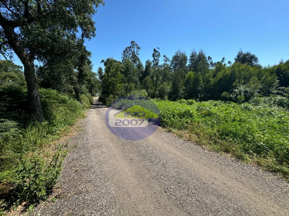 Terreno Agricola ou Rústico para Venda em Nogueira da Regedoura Foto 6
