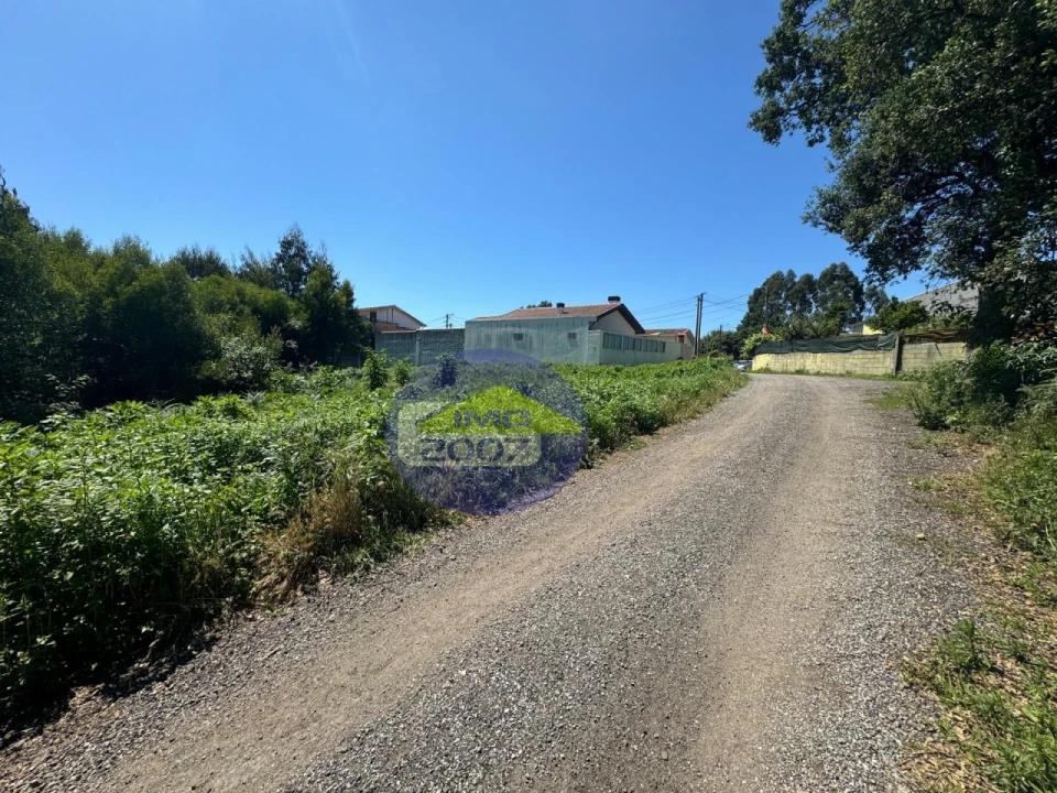 Terreno Agricola ou Rústico para Venda em Nogueira da Regedoura Foto 7