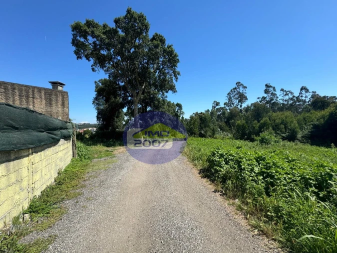 Terreno Agricola ou Rústico para Venda em Nogueira da Regedoura Foto 2
