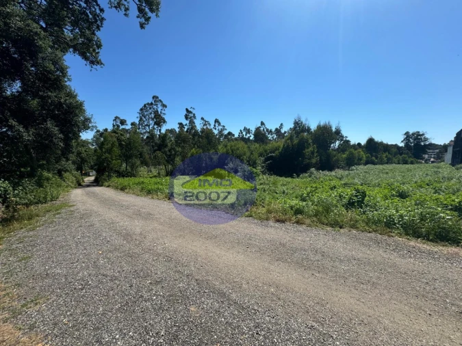 Terreno Agricola ou Rústico para Venda em Nogueira da Regedoura Foto 3