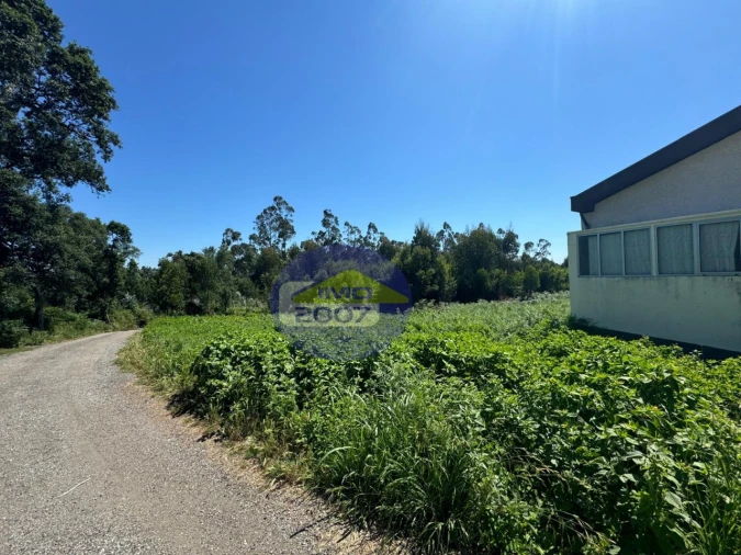 Terreno Agricola ou Rústico para Venda em Nogueira da Regedoura Foto 4