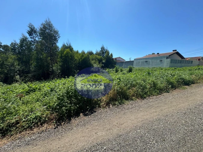 Terreno Agricola ou Rústico para Venda em Nogueira da Regedoura Foto 8