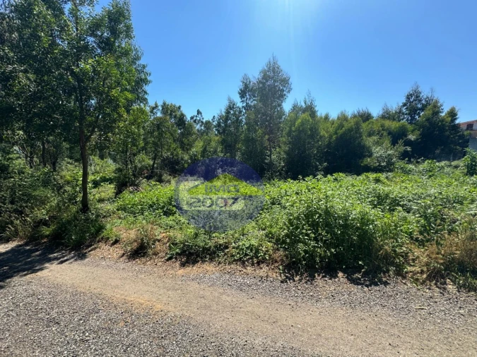 Terreno Agricola ou Rústico para Venda em Nogueira da Regedoura Foto 9