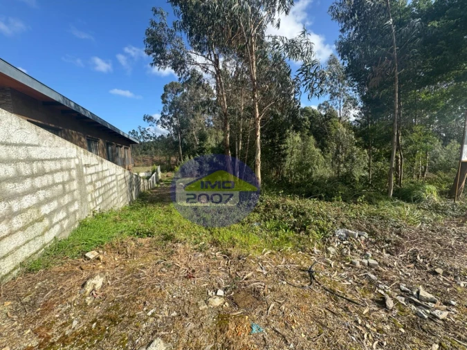 Terreno para Venda em Santa Maria da Feira, Travanca, Sanfins e Espargo Foto 8
