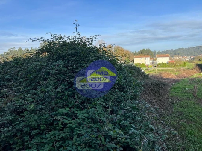Terreno para Venda em Fiães Foto 7