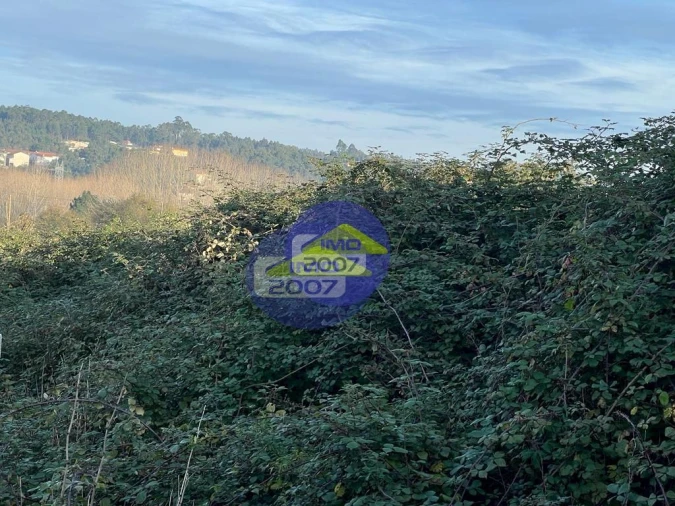 Terreno para Venda em Fiães Foto 10