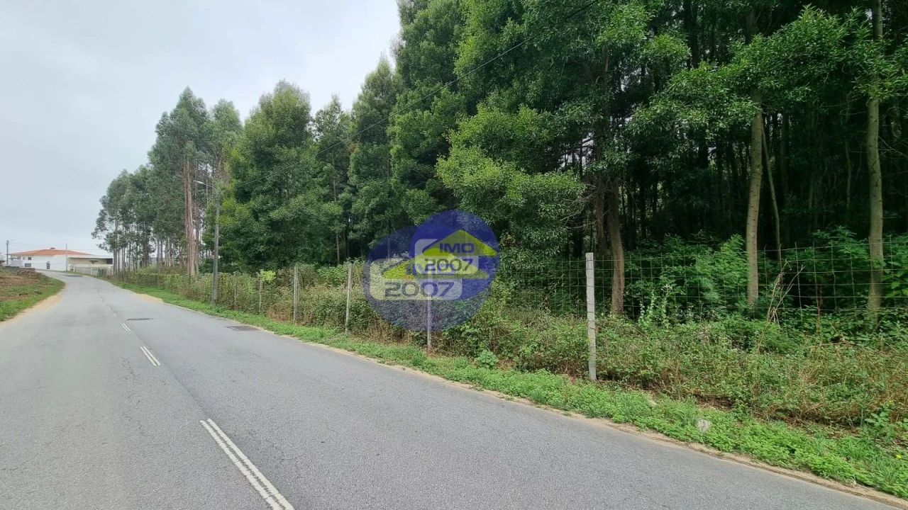 Terreno para Venda em Mozelos Foto 11