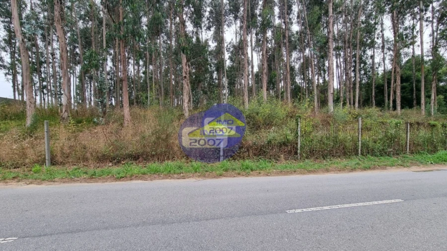 Terreno para Venda em Mozelos Foto 2