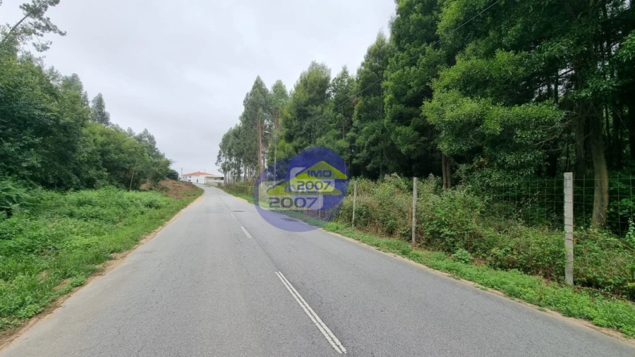Terreno para Venda em Mozelos Foto 6