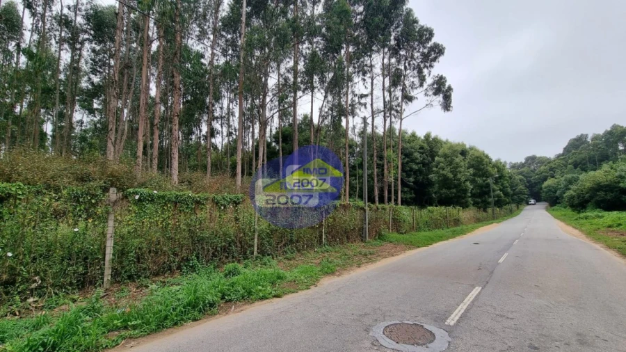 Terreno para Venda em Mozelos Foto 7