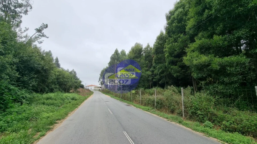 Terreno para Venda em Mozelos Foto 8