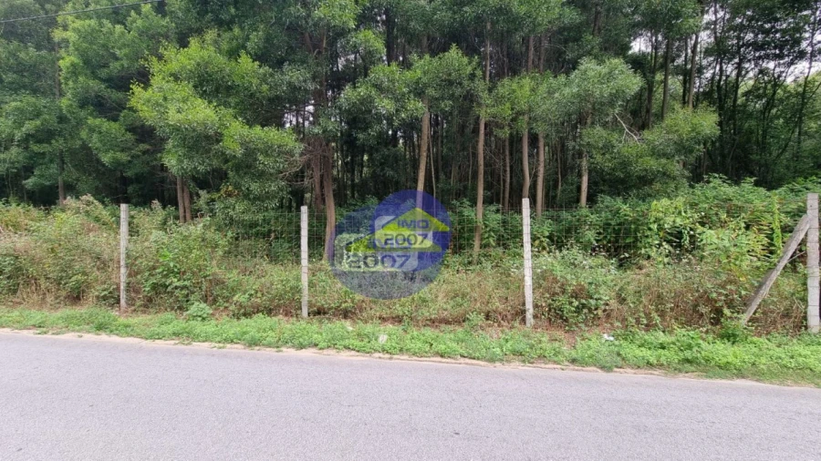 Terreno para Venda em Mozelos Foto 10