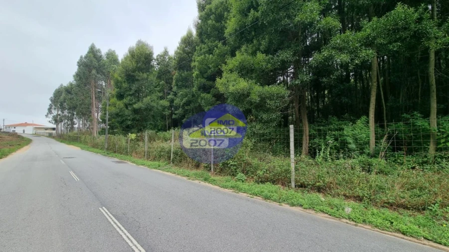 Terreno para Venda em Mozelos Foto 11