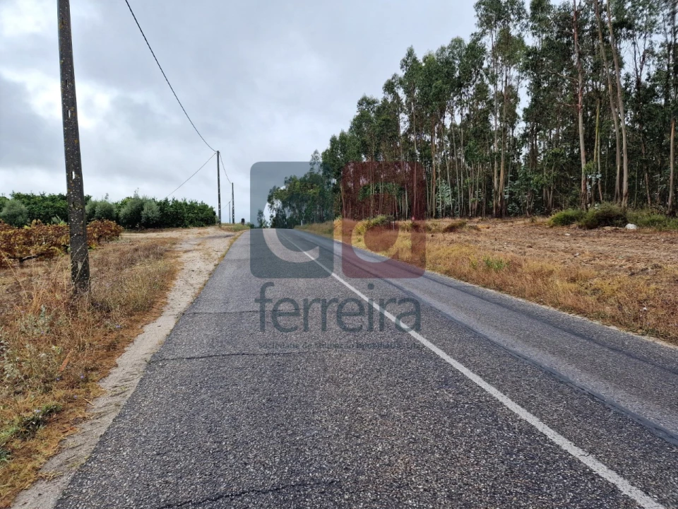 Terreno para Venda em Fazendas de Almeirim Foto 1