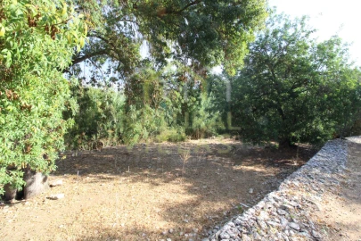 Terreno Agricola ou Rústico para Venda em Conceição e Estoi