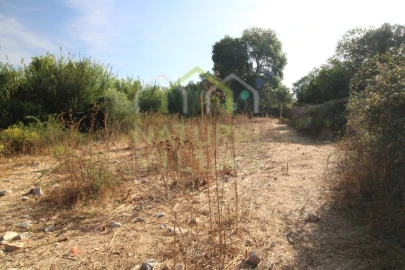 Terreno Agricola ou Rústico para Venda em Conceição e Estoi