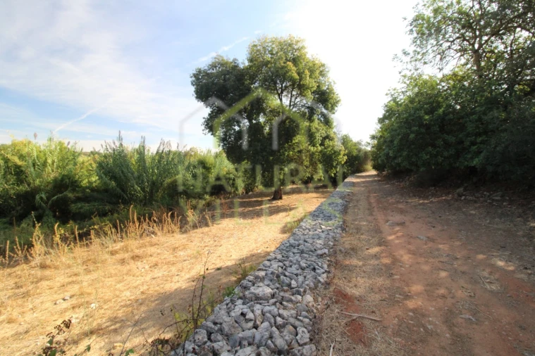 Terreno Agricola ou Rústico para Venda em Conceição e Estoi Foto 2