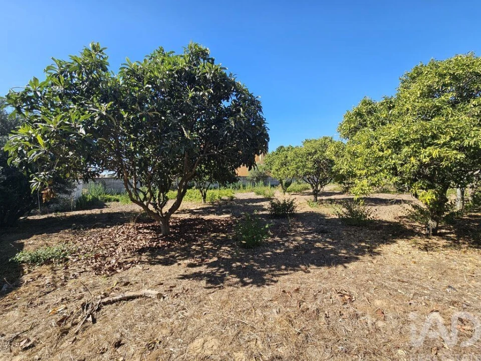 Terreno para Venda em Palmela Foto 2