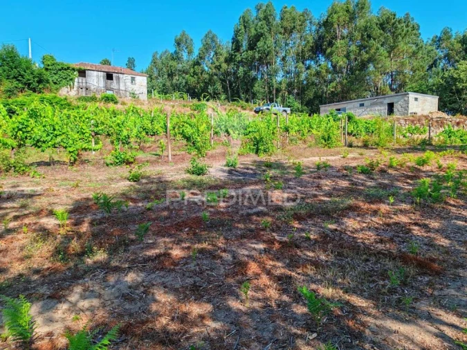 Quinta para Venda em Sobrado e Bairros Foto 18