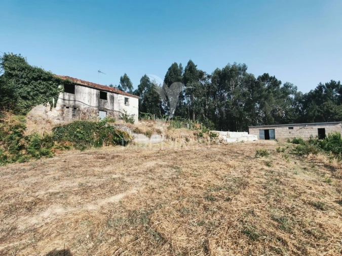 Quinta para Venda em Sobrado e Bairros Foto 13