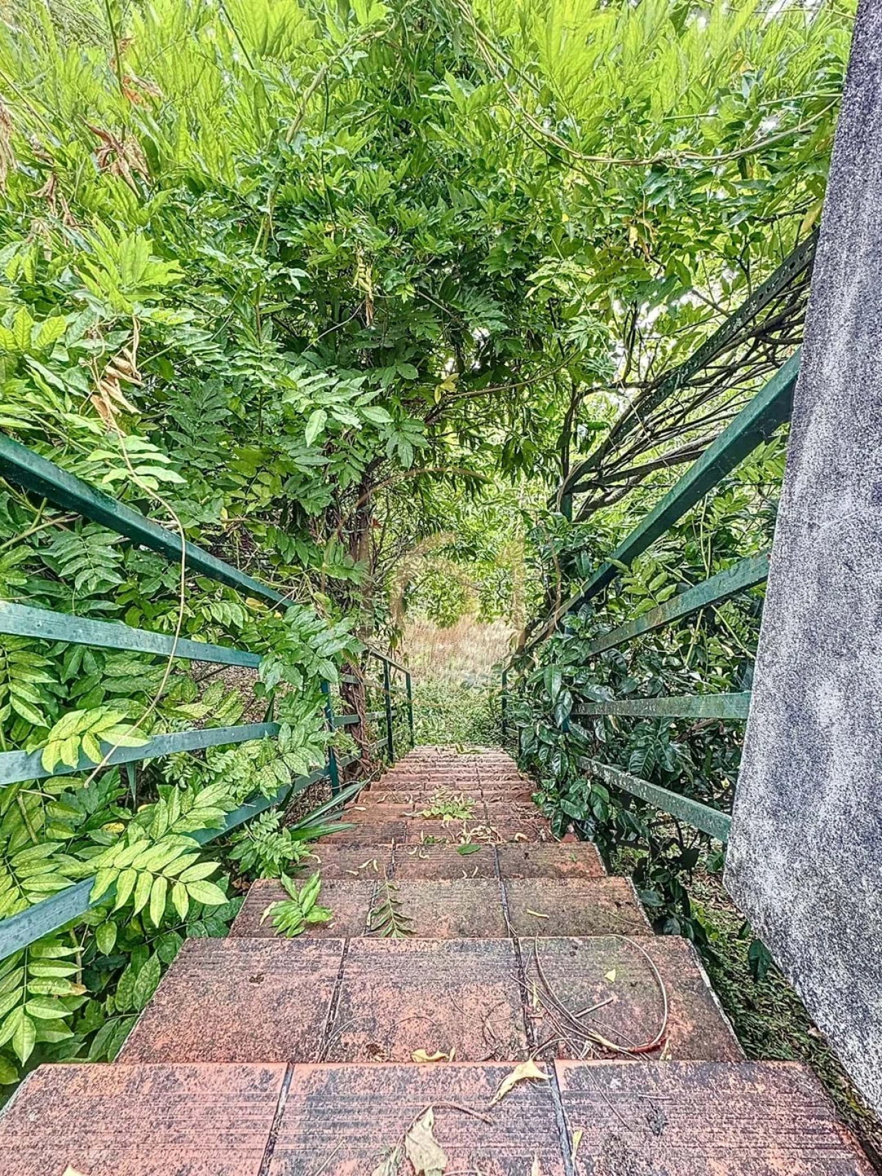 Moradia T4 para Venda em Prado (São Miguel) Foto 61