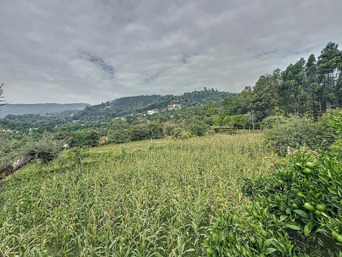 Moradia T4 para Venda em Prado (São Miguel) Foto 62