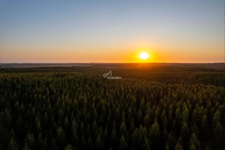 Quinta para Venda em Vila Nova de Milfontes Foto 20