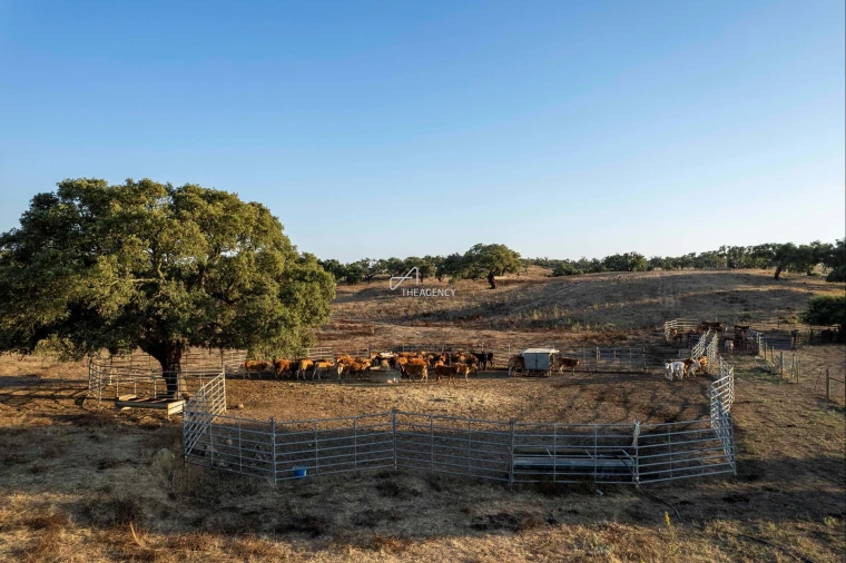 Quinta para Venda em Vila Nova de Milfontes Foto 9