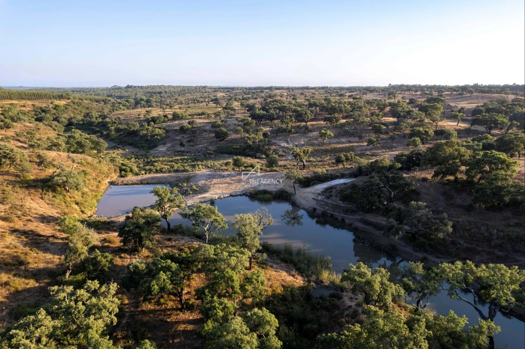 Quinta para Venda em Vila Nova de Milfontes Foto 2
