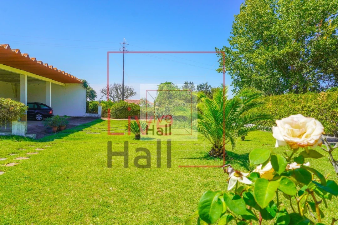 Quinta T3 para Venda em Santo Estêvão Foto 1