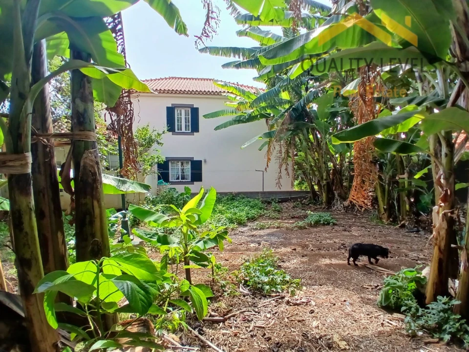 Moradia T4 para Venda em Funchal (Santa Maria Maior) Foto 6