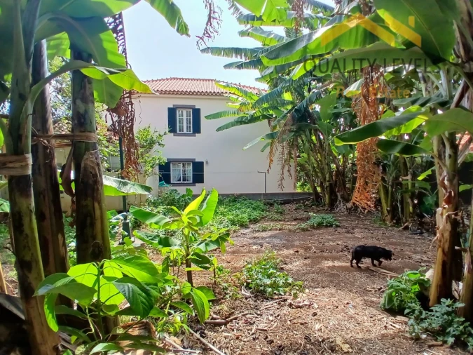 Moradia T4 para Venda em Funchal (Santa Maria Maior) Foto 6