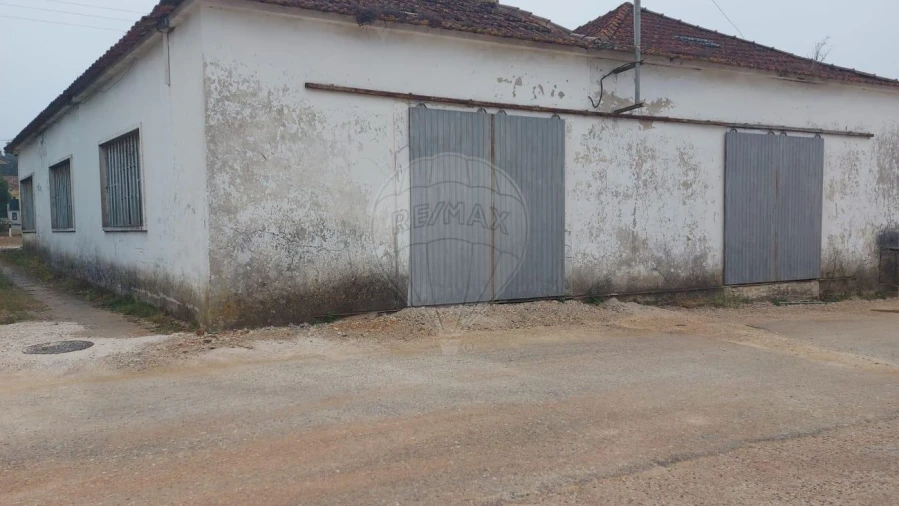 Armazém para Venda em Benedita Foto 6