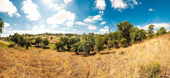 Terreno para Venda em Azambuja
