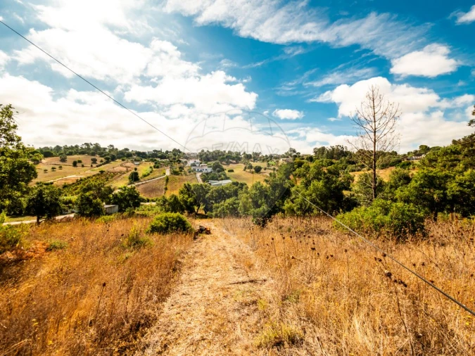 Terreno para Venda em Azambuja Foto 4