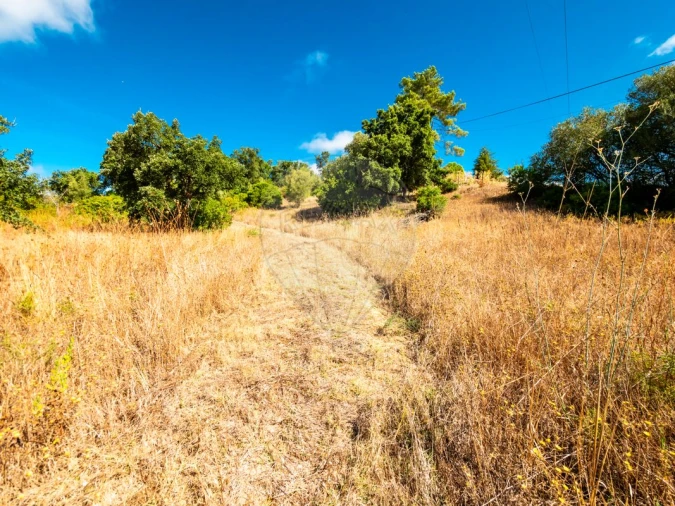 Terreno para Venda em Azambuja Foto 5