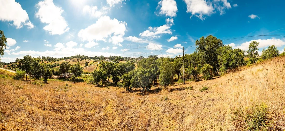 Terreno para Venda em Azambuja Foto 6