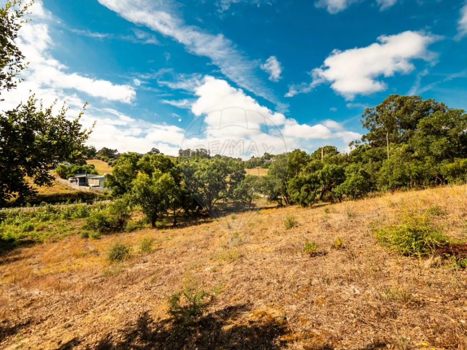 Terreno para Venda em Azambuja Foto 3