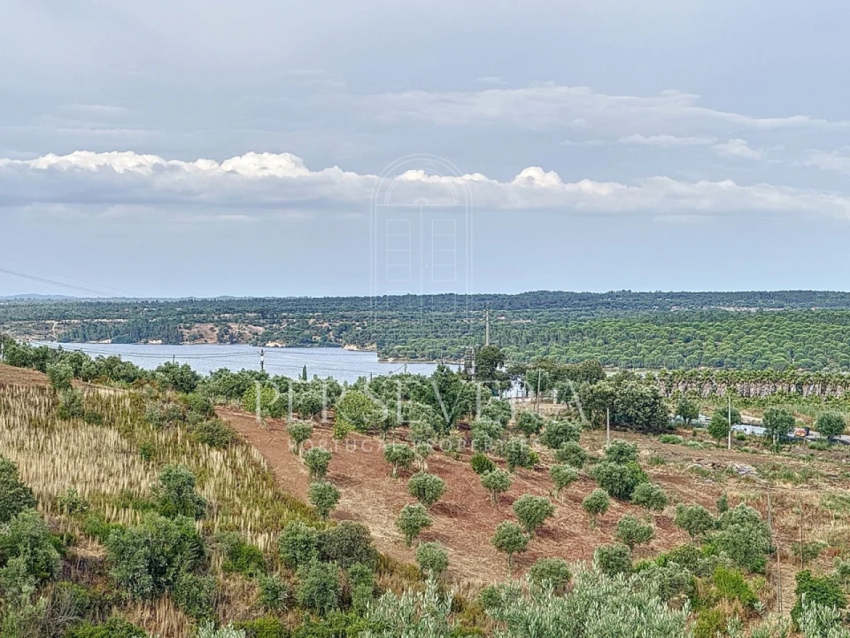 Quinta T4 para Venda em Montargil Foto 22