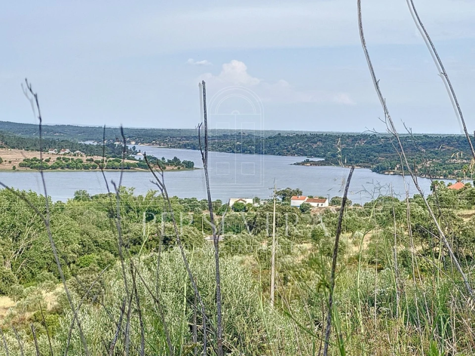 Quinta T4 para Venda em Montargil Foto 23