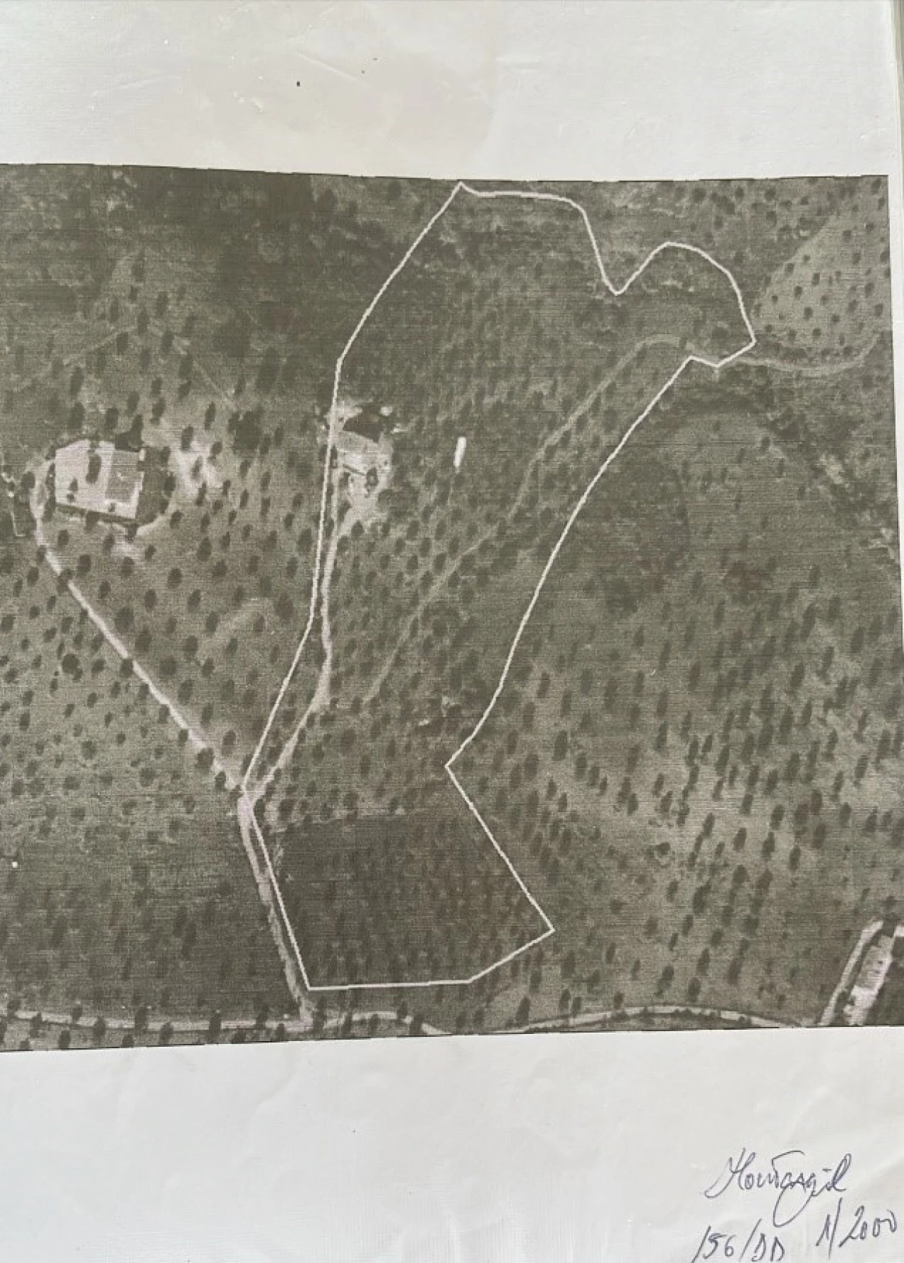 Quinta T4 para Venda em Montargil Planta 4