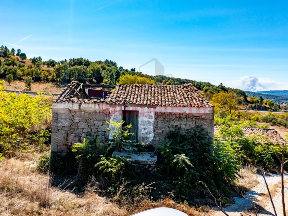 Quinta para Venda em São Pedro e Santa Maria e Vila Boa do Mondego Foto 3