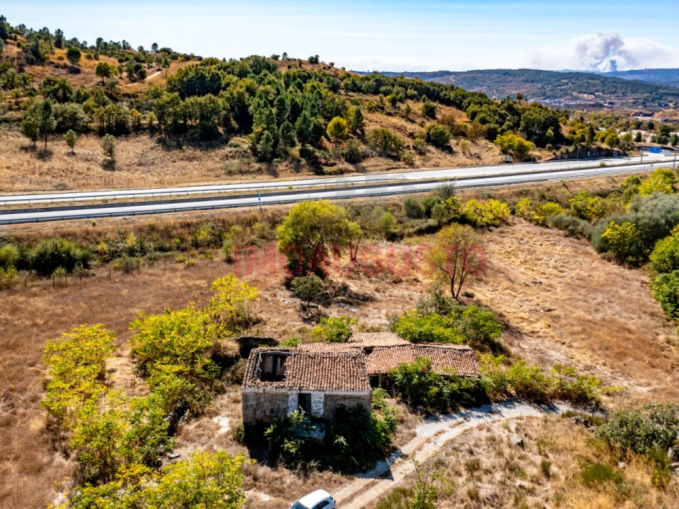 Quinta para Venda em São Pedro e Santa Maria e Vila Boa do Mondego Foto 5