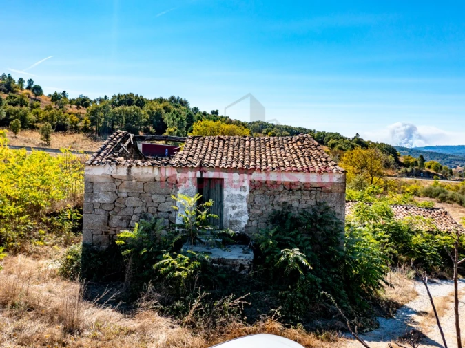 Quinta para Venda em São Pedro e Santa Maria e Vila Boa do Mondego Foto 3