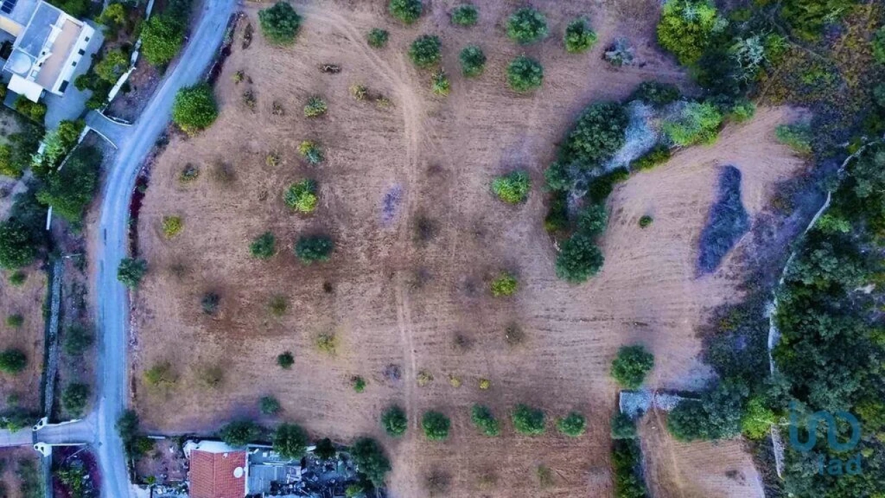 Terreno para Venda em Santa Barbara de Nexe Foto 10